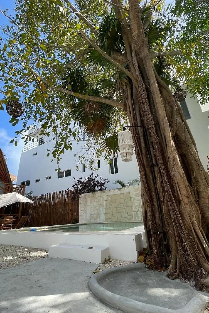 Nido By Puerto Morelos 0*,