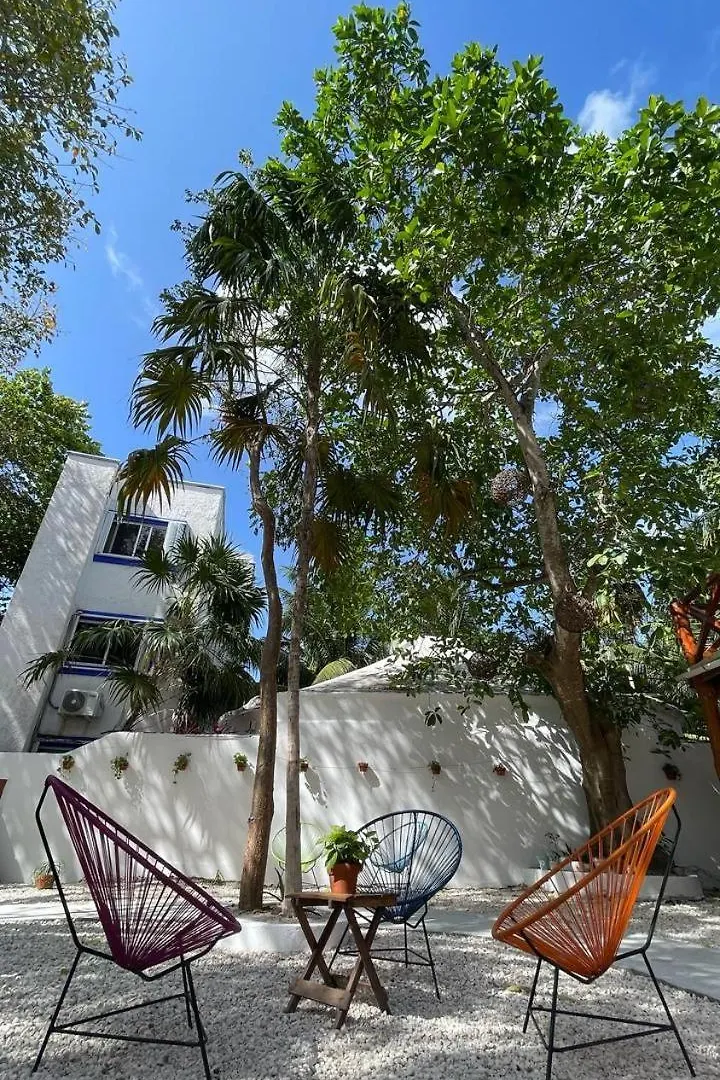 Nido By Puerto Morelos 0*,  México