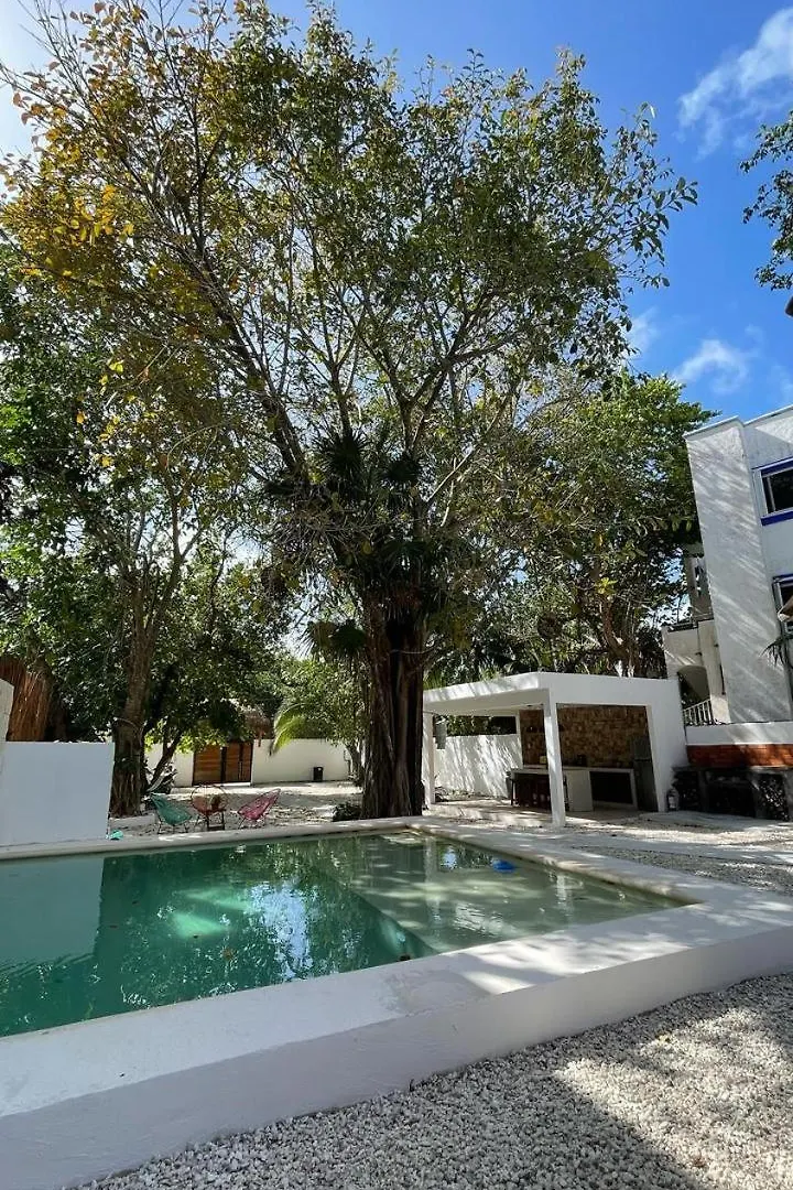 Apartamento Nido By Puerto Morelos