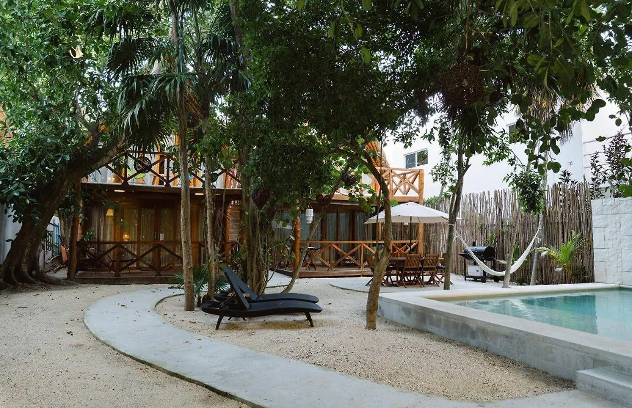 Nido By Puerto Morelos Mexico